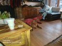 Filename=20231224_122804.jpg
Filesize=508KiB
Dimensions=2048x1536
Date added=Jul 23, 2026 20231224_122804.jpg