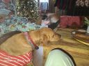 Filename=20231224_122825.jpg
Filesize=557KiB
Dimensions=2048x1536
Date added=Jul 23, 2026 20231224_122825.jpg
