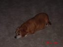 vlcsnap-2020-05-28-16h47m33s772.png